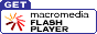 button to get flash player from web archive